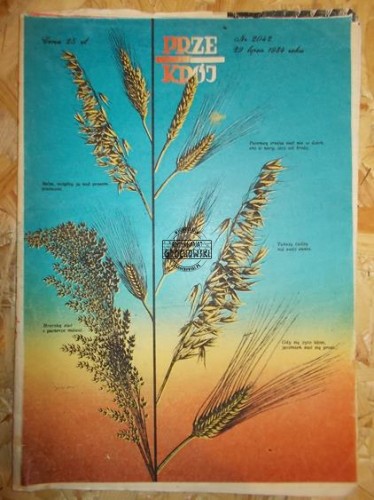 c50c224dc4358490e7934a2ab29366c4