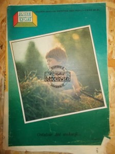 Przekrój. Nr 2046. 26 sierpnia 1984