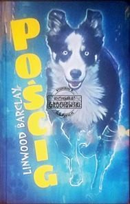 Pościg