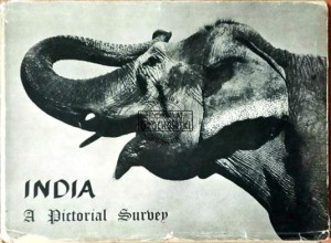India: A Pictorial Surbey