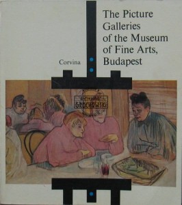 Picture galleries of the museum of fine arts