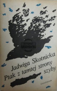 Ptak z tamtej strony szyby