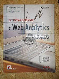 Godzina dziennie z Web Analytics. Stwórz dobrą strategię e-marketingową