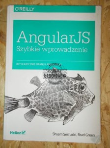 AngularJS. Szybkie wprowadzanie