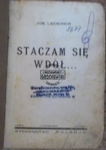 Staczam się w dół.  LEDERER