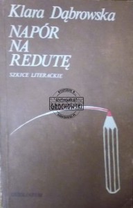 Napór na redutę. Szkice literackie