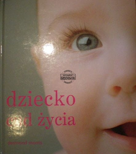 9a357255a71550245b7868a3eefe08c3