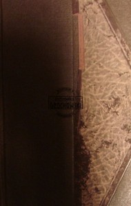 Pierwsza miłość Gunhildy
