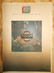 Przekrój. Nr 1751. 29 października 1978