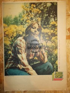 Przekrój. Nr 1738. 30 lipca 1978