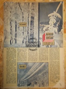 Przekrój. Nr 1399. 30 stycznia 1972