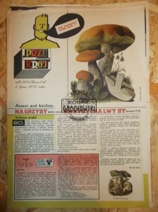 Przekrój. Nr 1317. 5 lipca 1970