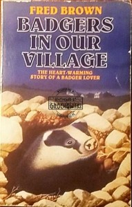 Badgers in our village