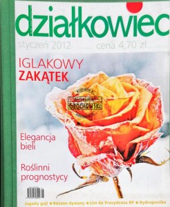 Działkowiec, styczeń 2012