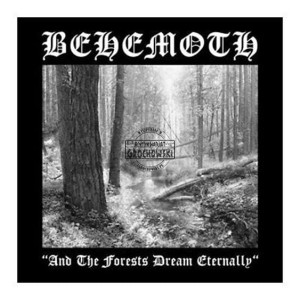 And The Forests Dream Eternally