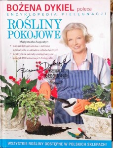 Rośliny pokojowe