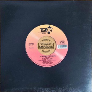 The Live Band – A Chance For Hope - 7"