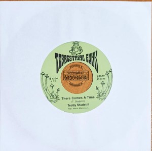 Teddy Studstill – I Wanna Be With You - 7"