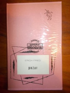 Pożar. (Seria: Biblioteka Jednorożca)