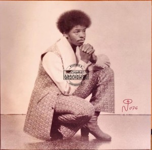 Tommy McGee, The TMG's – I'm A Stranger 2LP