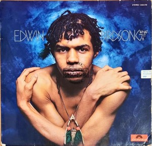 Edwin Birdsong – What It Is LP