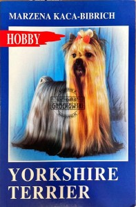 Yorkshire terrier 
