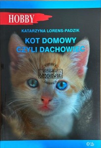 Kot domowy czyli dachowiec