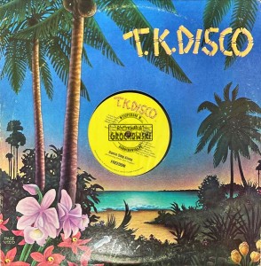 Freedom – Dance Sing Along / Set You Free Vinyl 12"