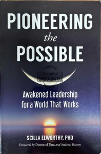 Pioneering the Possible. Awakened Leadership for a World That Works