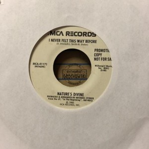 Nature's Divine – I Never Felt This Way Before / Success 7"