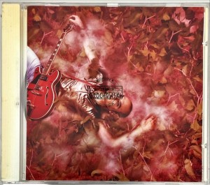 Electronicat – Voodoo Man CD