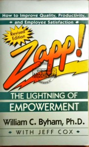 Zapp! The lightning of empowerment
