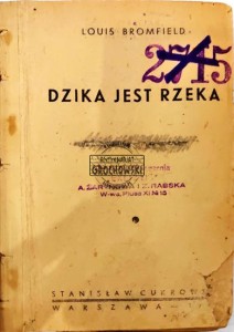 Dzika jest rzeka