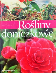 Rośliny doniczkowe