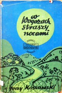 W Ogezach straszy nocami 