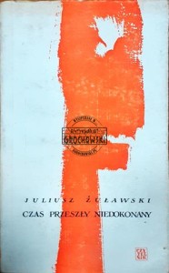 Czas przeszły niedokonany