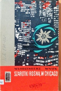 Szarotki rosną w Chicago