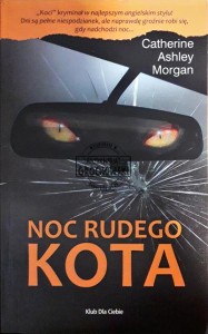 Noc rudego kota