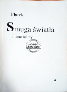 Smuga światła i inne teksty