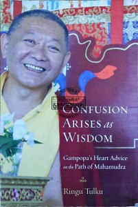 Confusion arises as wisdom