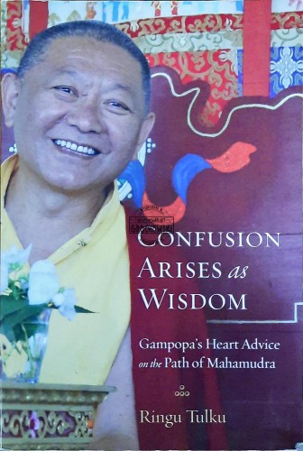 620422 Confusion arises as wisdom