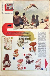 Przekrój Nr 1480/19 sierpnia 1973 roku