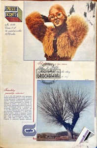 Przekrój Nr 1488/14 października 1973 roku