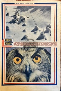 Przekrój Nr 1453/11 lutego 1973 roku