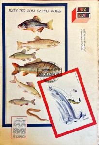 Przekrój Nr 1461/8 kwietnia 1973 roku