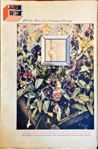 Przekrój Nr 1464/29 kwietnia 1973 roku