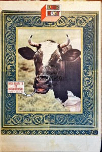 Przekrój Nr 1474/8 lipca 1973 roku