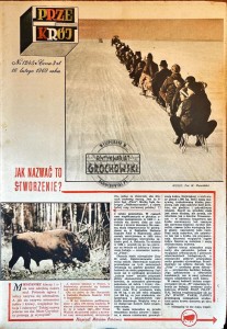 Przekrój Nr 1245/16 lutego 1969 roku
