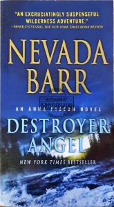 Detroyer Angel