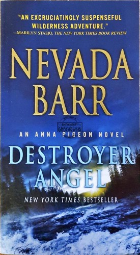 634038 Detroyer Angel